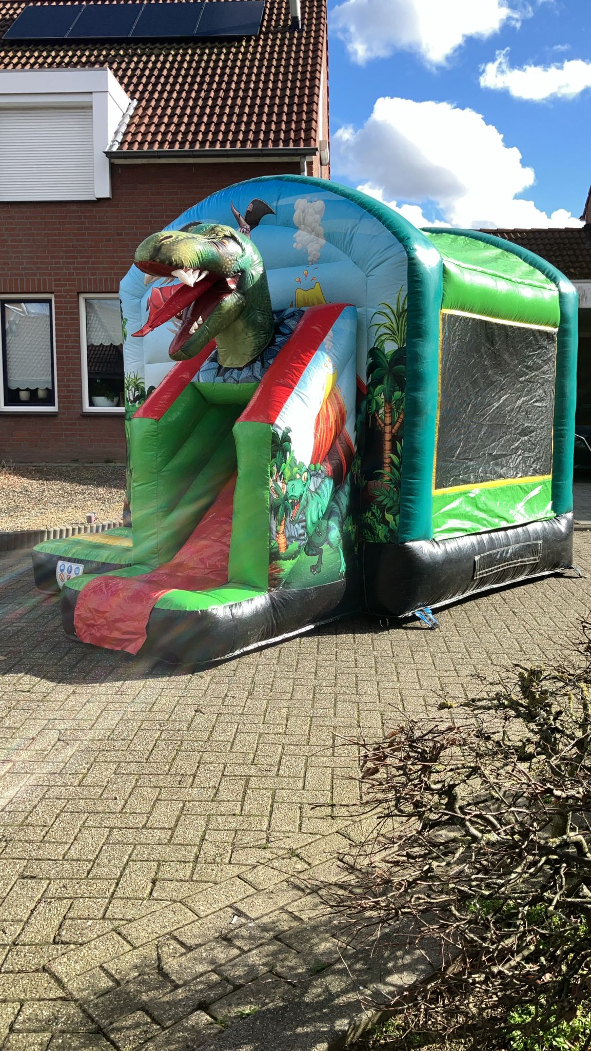 Dinosaurus springkussen